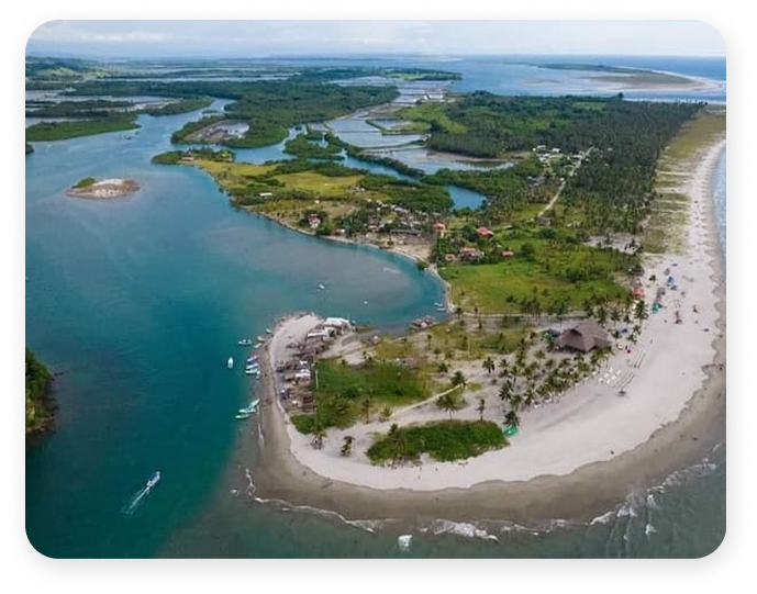 Cojimies - Portada Blog